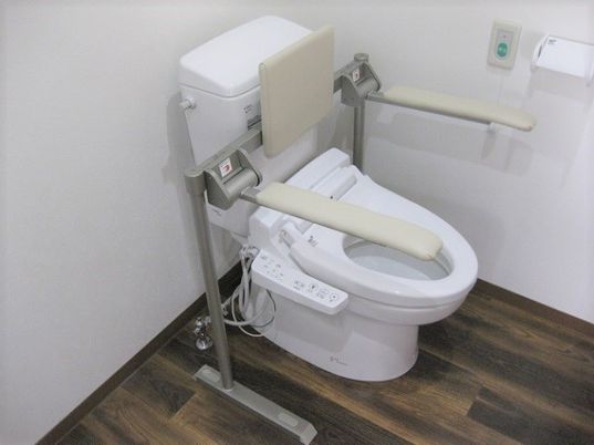 背もたれと可動式の手すりが付いたトイレ。床はフローリングで介助スペースもある。