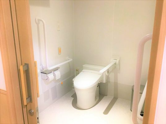 車いすのまま使えるタイプの引き戸仕様のトイレ。施設内のトイレの様子