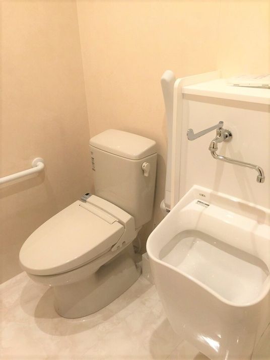 洗面台、オスメイトがついたトイレの様子。高齢者用の設備