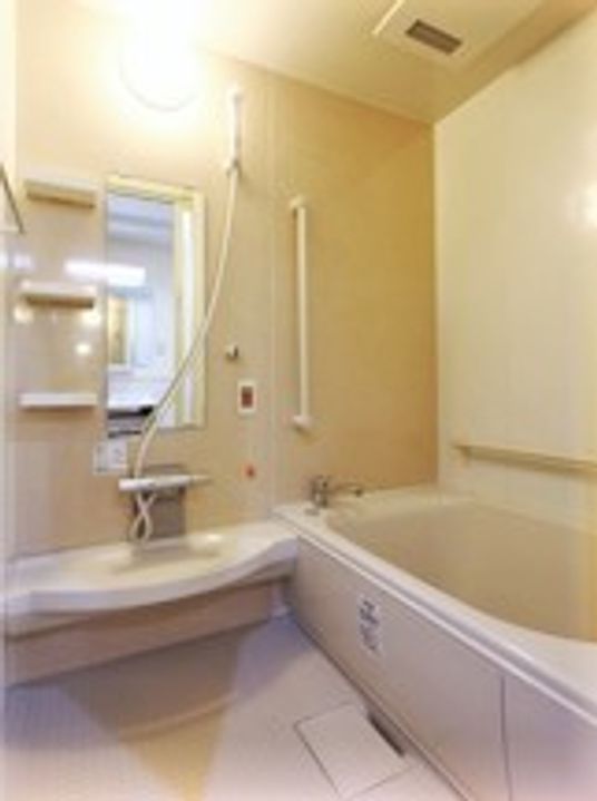 浴室には家庭サイズの浴槽があり、シャワーや浴槽の周りには手すりが多めに設置されている。