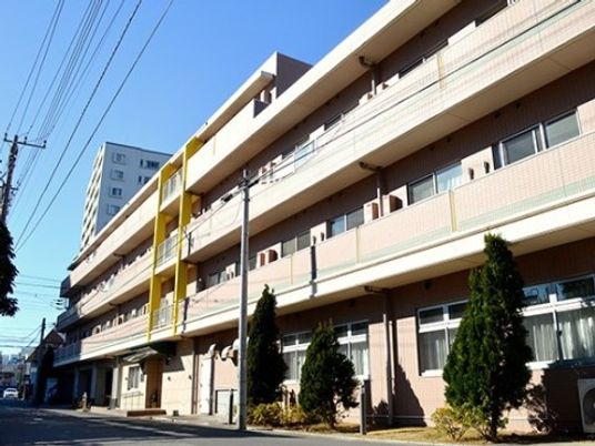 ブラウンを基調とした横に長い建物。各フロアにベランダが付き、建物周辺には木も植えられている。