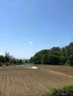 青空と広々とした畑、林が写っている自然豊かな環境の写真