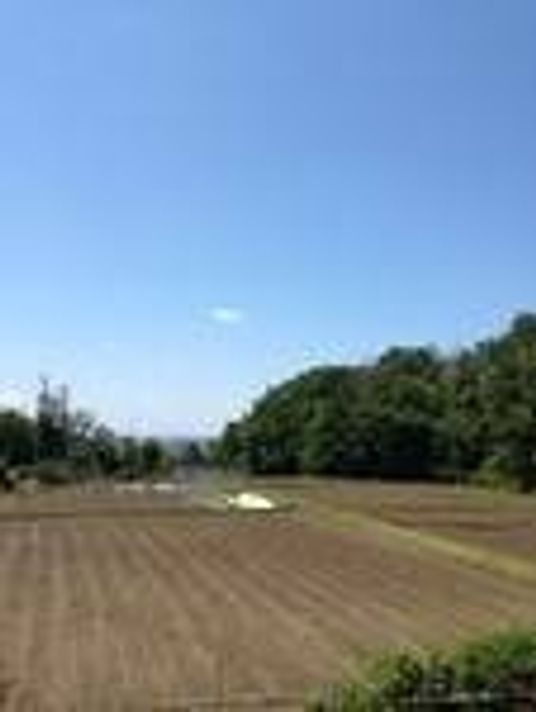 青空と広々とした畑、林が写っている自然豊かな環境の写真