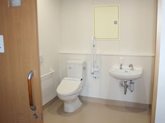 広いトイレには手洗い場もあり、手すりが両サイドに付いている。ドアはスライド式。