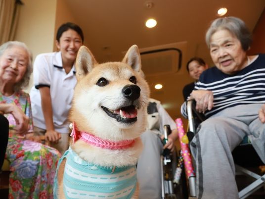 ピンクの首輪や緑の間掛けを付けた柴犬を囲んで車いすの高齢女性たちやポロシャツ姿の女性スタッフたちが笑顔で犬を見ている様子。