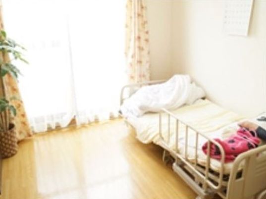 介護用ベッド、観葉植物が写っているワンルームの写真。明るい日差しが窓から差し込んでいる部屋