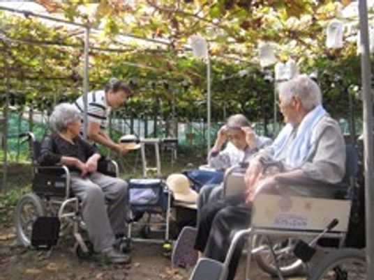 ぶどう狩りを楽しむ車いすの入居者とスタッフ。