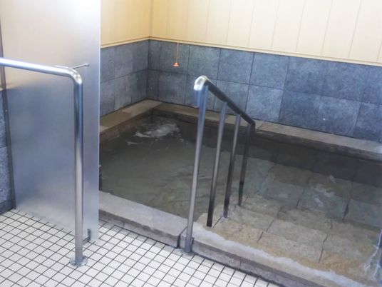 手すりが付いた小さなプールのような浴槽の様子。施設内の共同浴室