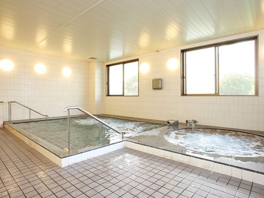 広い浴室にはジャグジーと大きな浴槽があり、手すり付きの階段が設置されている。