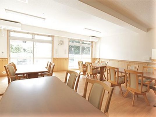木製の収納家具やベッド、いすが設置された畳敷きの居室。大きな窓が付き明るい雰囲気。
