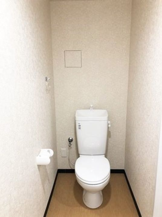 トイレットペーパーホルダーが設置されたシンプルなトイレ。タオル掛けもある。