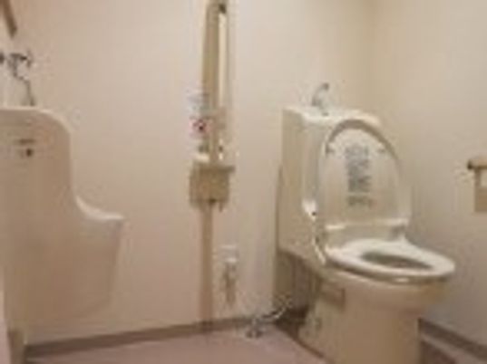 白を基調としたトイレには手すりや手洗い場、呼び出しボタンが付き、安全に利用できる。