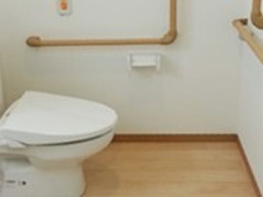 L字型の手すりが付いているトイレの様子。高齢者用のトイレ