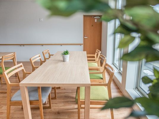 木製のダイニングテーブルが複数置かれたリビングダイニングは木の香りが漂う空間。観葉植物が飾られている。