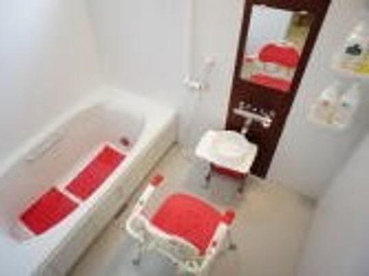 白い浴槽が設置された浴室。家庭的なサイズの浴槽の周りには多くの手すりやシャワースペースがある。