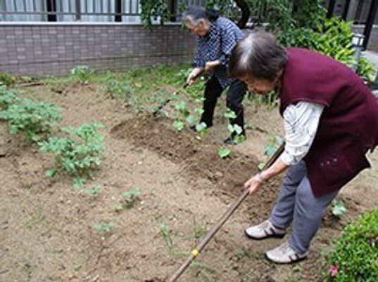 施設内の中庭で植物の手入れをしている高齢者の様子。二人で共同作業している写真