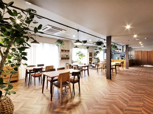 オシャレな内観の建物。テーブルと椅子の周りには観葉植物が置かれている