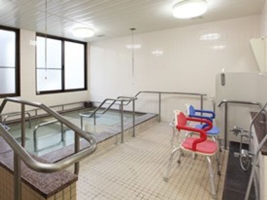 手すりが取り付けてある大きめの浴槽と手前のシャワースペースの様子