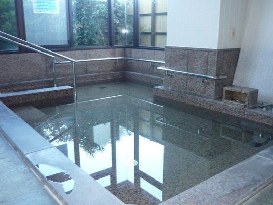 大きな埋め込み式の浴槽は長方形で、階段には手すりが設置されている。
