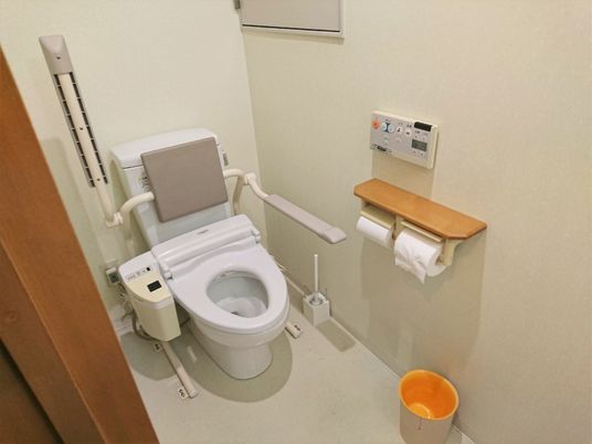 両サイドに手すりが付いたトイレ。操作ボタンも壁に付いている。