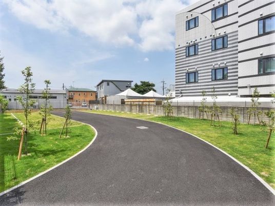 建物まで続く舗装された道路の様子。建物が右側に写っている様子