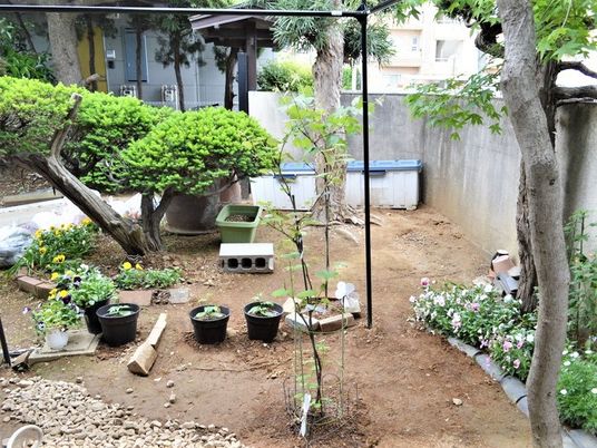 季節の花や木がていねいに育てられていることがわかる庭。
