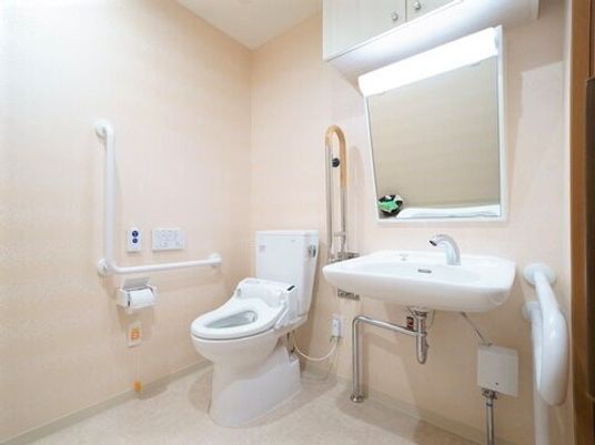 広いトイレにはエル字型の手すりや呼び出しボタン予備だがつき、大きな鏡が斜めに設置された手洗い場もある。