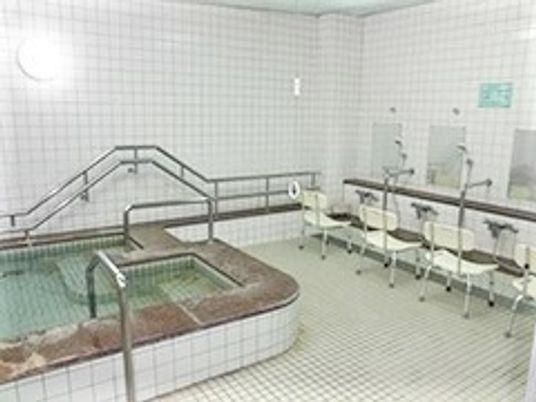 手すり付きの階段が付いた浴槽。シャワースペースも広く設けられている。