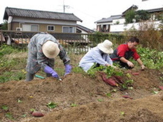 施設の中庭で植物を植えている高齢者の様子。土いじりをしている高齢者