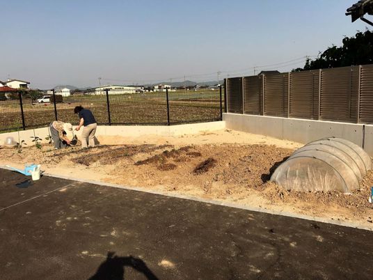 広い畑で作業をするスタッフが一人。ビニールハウスもある。