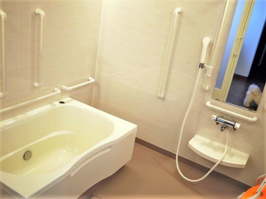 白い浴槽が設置された浴室にはシャワーや手すりなども設置されている。