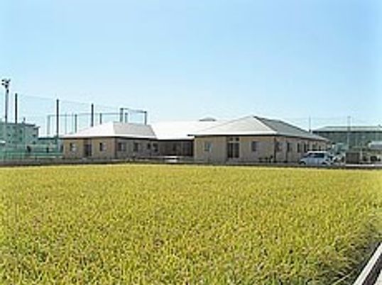 広々とした芝生のような広場とその向こう側にある建物。天気が良い日の外観写真