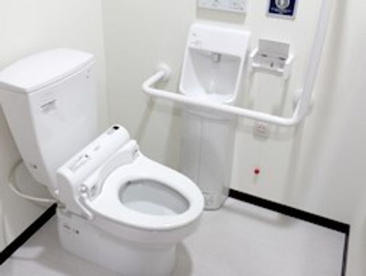 ふたなしの便座が設置され、手洗い場や呼び出しボタンはトイレットペーパーホルダーのそばにある。