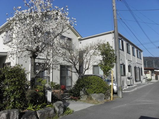 道路に面した白い2階建ての建物。玄関先にある桜の木が満開に咲いている。