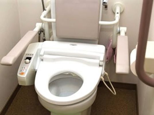 両サイドに手すりが付き、背もたれもある。脱臭機能が付いた便座。