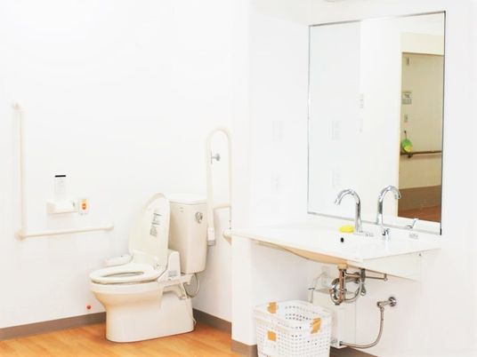 トイレと洗面台が一体になったトイレスペースの様子。立ち上がり用の手すりと緊急コールがある様子