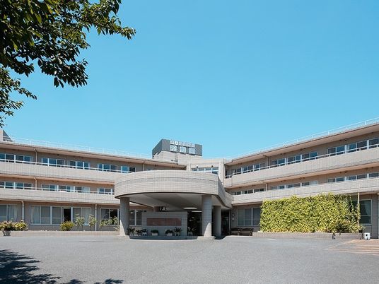 八の字に広がって建っている建物。3階建ての建物が写っている様子