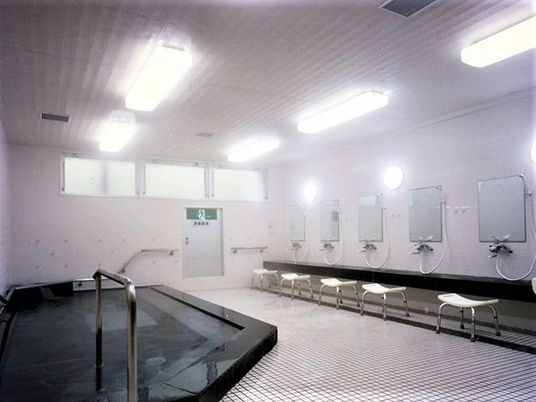 施設内にある大浴場を写した写真。手すりが取り付けられている浴槽、シャワースペース