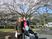 桜の花の下で笑顔で写真に写っている高齢者と施設のスタッフ。車いすを使っている人