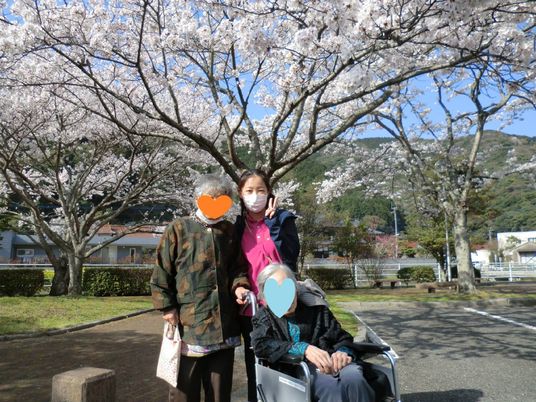 桜の花の下で笑顔で写真に写っている高齢者と施設のスタッフ。車いすを使っている人