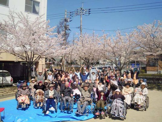 たくさんのさくらの木があり、満開の花に囲まれて花見を楽しんでいる高齢者たち。