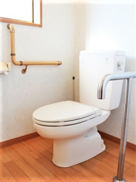 エル字型の手すりが取り付けられているトイレの様子。手前にT字型の手すりがある様子