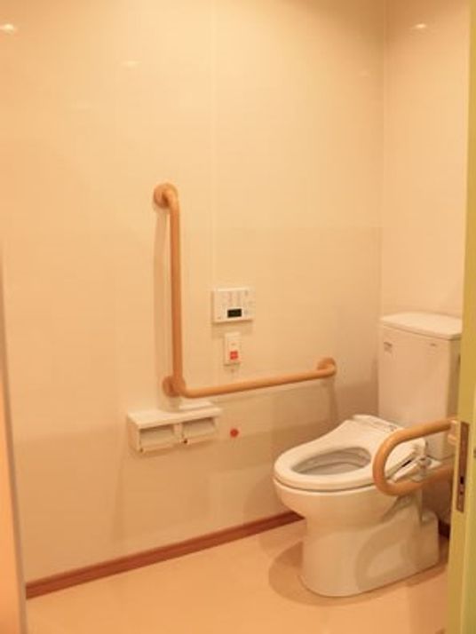 L字型の手すりと緊急コールがあるトイレ。高齢者が使う安全装置付きのトイレの写真