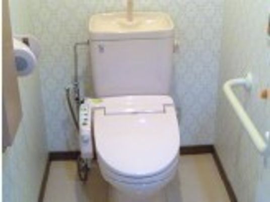 手すりが付いているトイレの様子。一人用のスペースだけの小さなトイレ