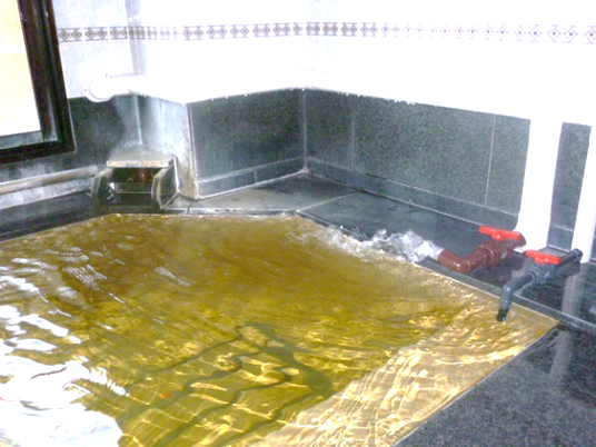 蛇口が2つあり、お湯がたくさん入っている大浴場