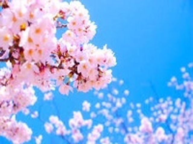 季節のイベントやレクリエーションには地域のボランティアの方がたも多く参加してくださいます。