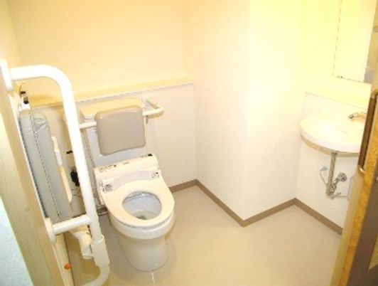 手すりが付いた車いすでも入れるトイレ。洗面台もある