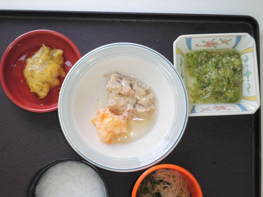 刻み食の食事例。かゆに刻まれたおかずがそれぞれ盛られている。