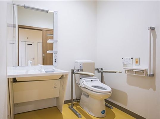 背もたれや手すりが設置された安全なトイレ。すぐそばには車いす対応の洗面台もある。