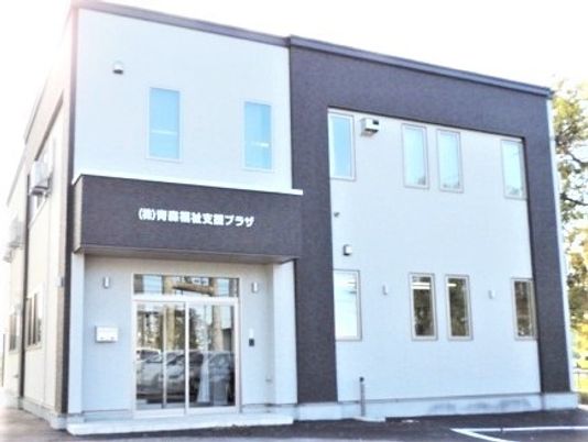 車いすに乗った眼鏡の男性入居者と屋外での散歩を楽しむエプロン姿の女性スタッフ。